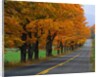 Rural Road in Autumn by Anonymous