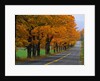 Rural Road in Autumn by Anonymous