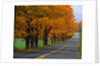 Rural Road in Autumn by Anonymous