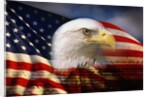 Bald Eagle Head and American Flag by Anonymous