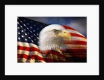 Bald Eagle Head and American Flag by Anonymous