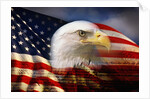 Bald Eagle Head and American Flag by Anonymous