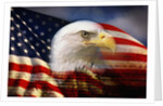 Bald Eagle Head and American Flag by Anonymous