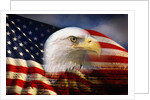 Bald Eagle Head and American Flag by Anonymous