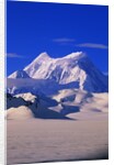 St. Elias Mountains and Bagley Ice Field by Anonymous