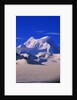 St. Elias Mountains and Bagley Ice Field by Anonymous