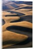 Wheat Fields of the Palouse Hills by Anonymous