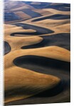 Wheat Fields of the Palouse Hills by Anonymous