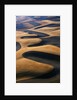 Wheat Fields of the Palouse Hills by Anonymous