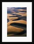 Wheat Fields of the Palouse Hills by Anonymous