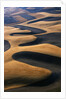Wheat Fields of the Palouse Hills by Anonymous