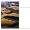 Wheat Fields of the Palouse Hills by Anonymous