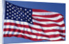 American Flag Blowing in the Wind by Anonymous