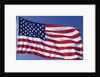American Flag Blowing in the Wind by Anonymous