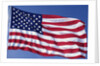 American Flag Blowing in the Wind by Anonymous