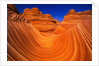Coyote Butte's Sandstone Stripes by Anonymous