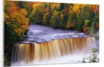 Tahquamenon Falls in Autumn by Anonymous