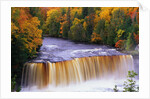 Tahquamenon Falls in Autumn by Anonymous