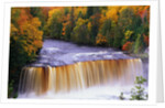 Tahquamenon Falls in Autumn by Anonymous