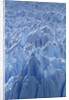 Close Up of Perito Moreno Glacier in Argentina by Anonymous