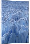 Close Up of Perito Moreno Glacier in Argentina by Anonymous