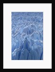 Close Up of Perito Moreno Glacier in Argentina by Anonymous