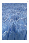 Close Up of Perito Moreno Glacier in Argentina by Anonymous