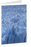 Close Up of Perito Moreno Glacier in Argentina by Anonymous
