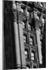 Exterior Detail of the Potter Building by Anonymous