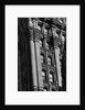 Exterior Detail of the Potter Building by Anonymous