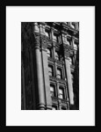 Exterior Detail of the Potter Building by Anonymous