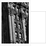 Exterior Detail of the Potter Building by Anonymous