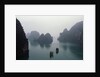 Junks in Ha Long Bay by Anonymous