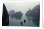Junks in Ha Long Bay by Anonymous