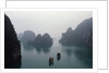 Junks in Ha Long Bay by Anonymous
