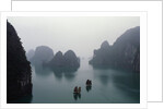 Junks in Ha Long Bay by Anonymous