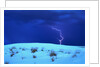 Lightening above White Sand Dune by Anonymous