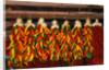Hanging Chili Peppers by Anonymous