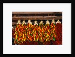 Hanging Chili Peppers by Anonymous