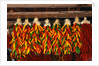 Hanging Chili Peppers by Anonymous