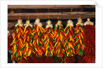 Hanging Chili Peppers by Anonymous