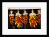 Hanging Chili Peppers by Anonymous