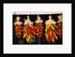 Hanging Chili Peppers by Anonymous