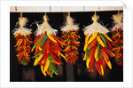 Hanging Chili Peppers by Anonymous