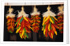 Hanging Chili Peppers by Anonymous