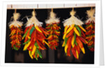 Hanging Chili Peppers by Anonymous