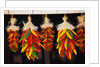 Hanging Chili Peppers by Anonymous