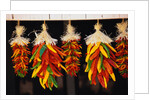 Hanging Chili Peppers by Anonymous