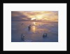Polar Bears on Ice Pack at Sunset by Anonymous