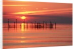 Silhouetted Fishing Net at Sunset by Anonymous